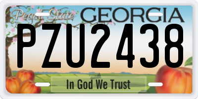 GA license plate PZU2438