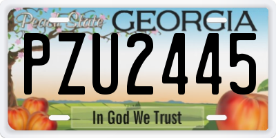 GA license plate PZU2445