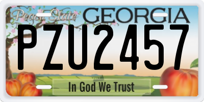 GA license plate PZU2457