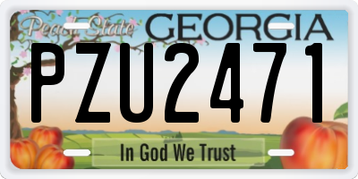 GA license plate PZU2471