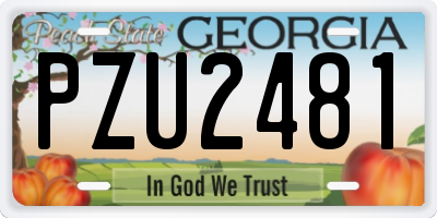 GA license plate PZU2481