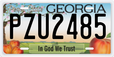 GA license plate PZU2485