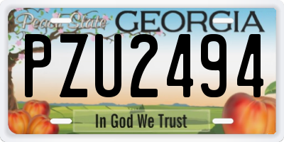 GA license plate PZU2494