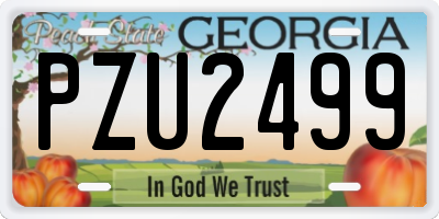 GA license plate PZU2499