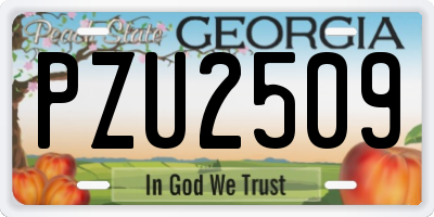 GA license plate PZU2509