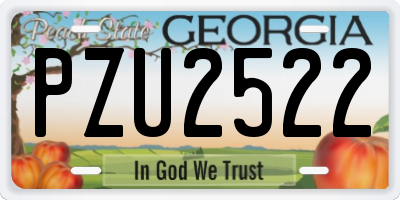 GA license plate PZU2522