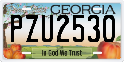 GA license plate PZU2530