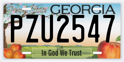 GA license plate PZU2547