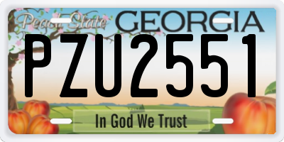 GA license plate PZU2551