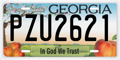 GA license plate PZU2621