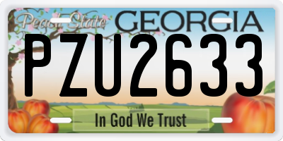 GA license plate PZU2633