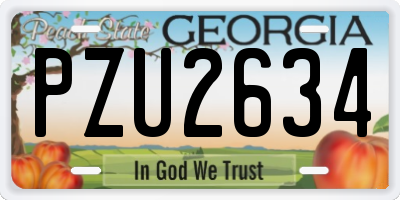 GA license plate PZU2634
