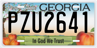 GA license plate PZU2641