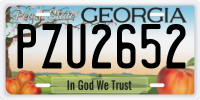 GA license plate PZU2652