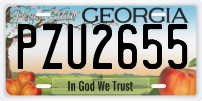 GA license plate PZU2655