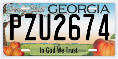GA license plate PZU2674