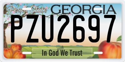 GA license plate PZU2697