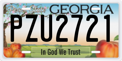 GA license plate PZU2721