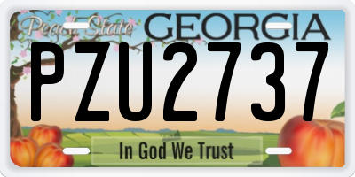 GA license plate PZU2737