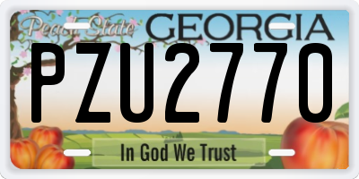 GA license plate PZU2770
