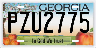 GA license plate PZU2775