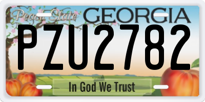 GA license plate PZU2782