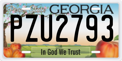 GA license plate PZU2793
