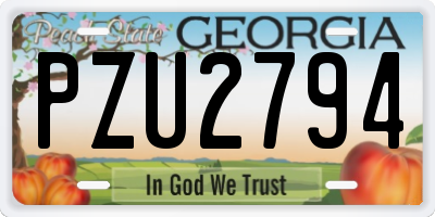 GA license plate PZU2794