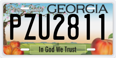 GA license plate PZU2811