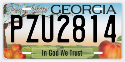 GA license plate PZU2814