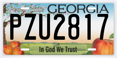 GA license plate PZU2817