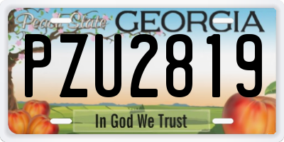 GA license plate PZU2819