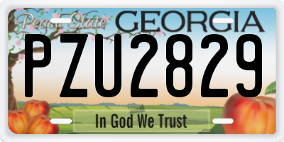 GA license plate PZU2829
