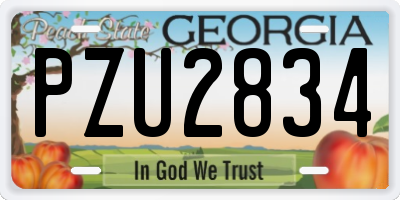 GA license plate PZU2834