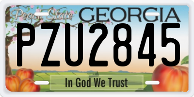 GA license plate PZU2845