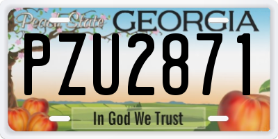 GA license plate PZU2871