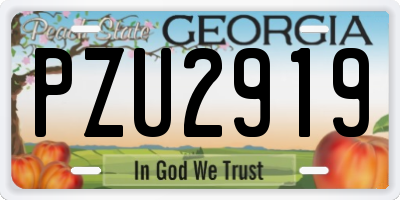 GA license plate PZU2919