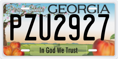 GA license plate PZU2927