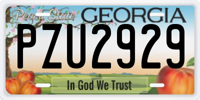 GA license plate PZU2929