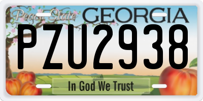 GA license plate PZU2938