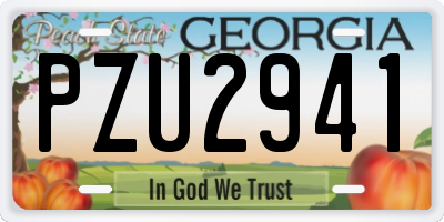 GA license plate PZU2941