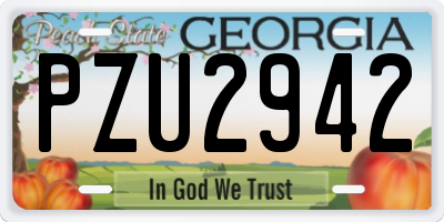 GA license plate PZU2942