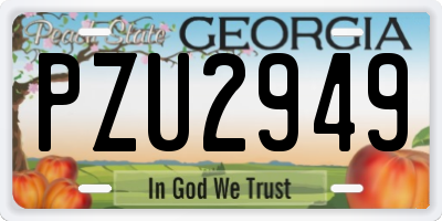GA license plate PZU2949