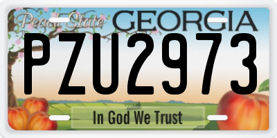 GA license plate PZU2973