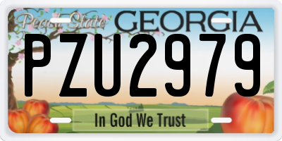 GA license plate PZU2979