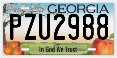 GA license plate PZU2988