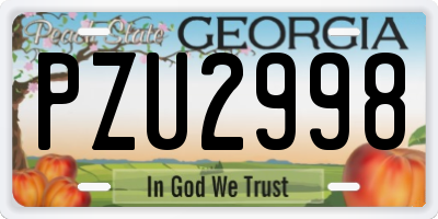 GA license plate PZU2998