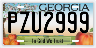 GA license plate PZU2999
