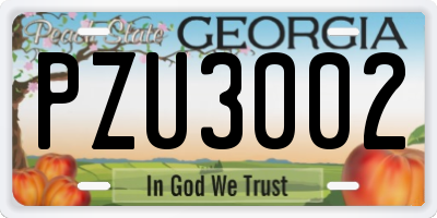 GA license plate PZU3002