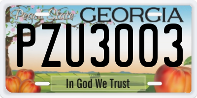 GA license plate PZU3003